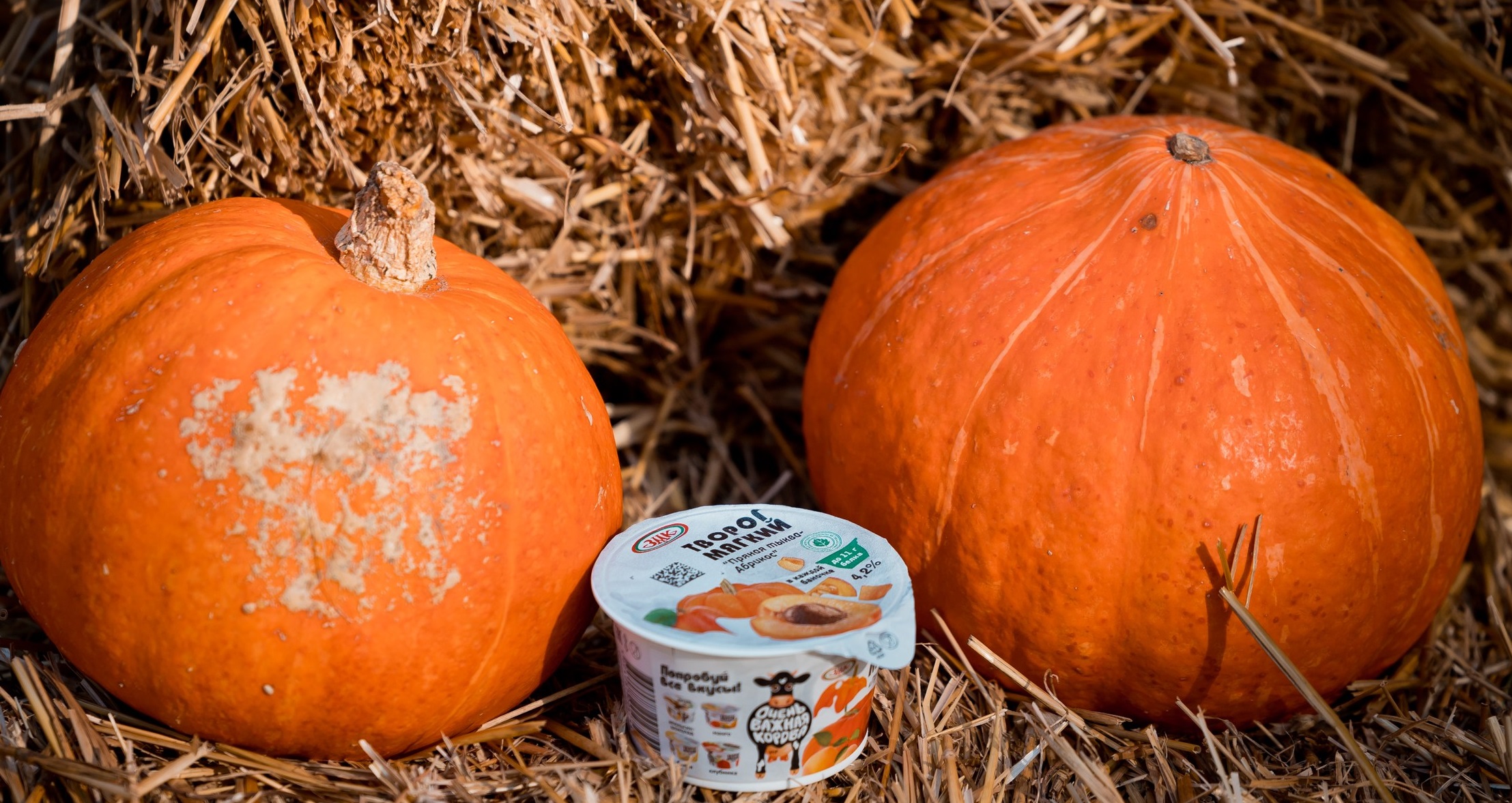 ЗМК запустил производство нового мягкого творога бренда «Очень важная корова» 