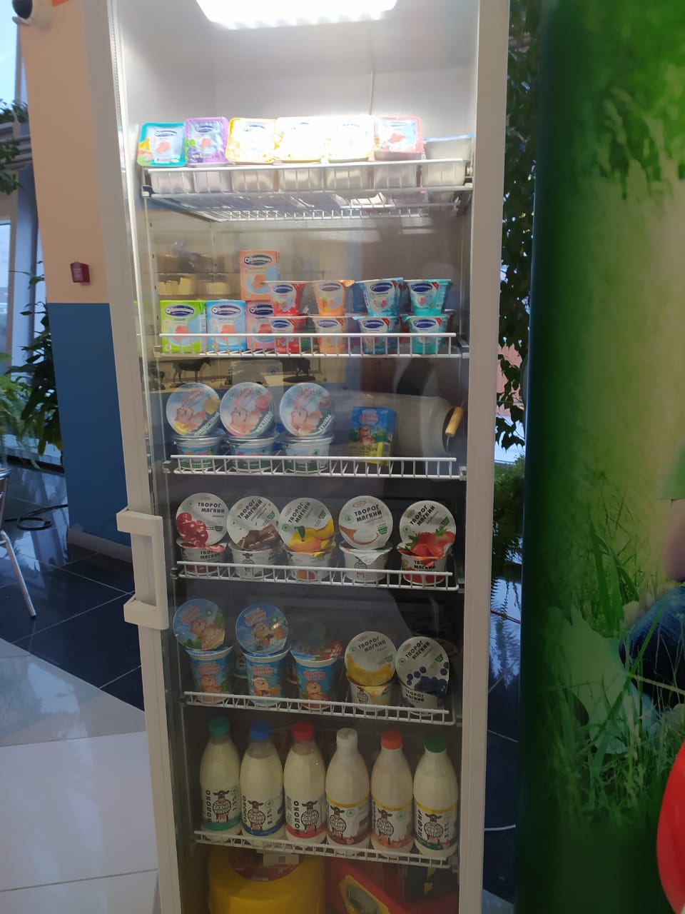 Конференция